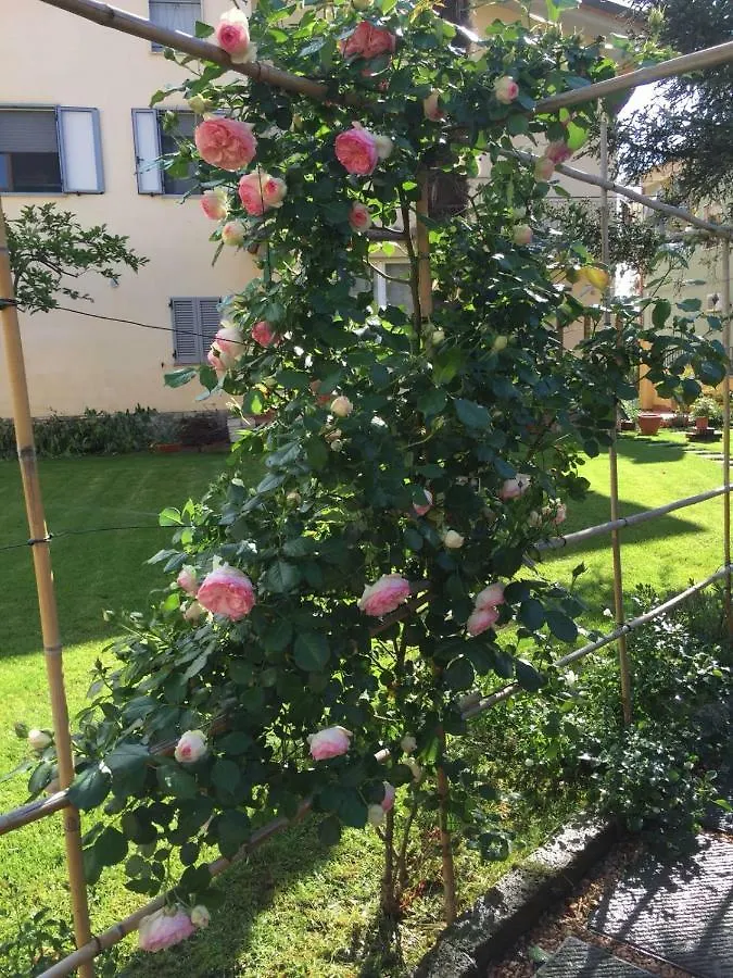 Prázdninový dům Vila Casa Cautha Cortona Itálie